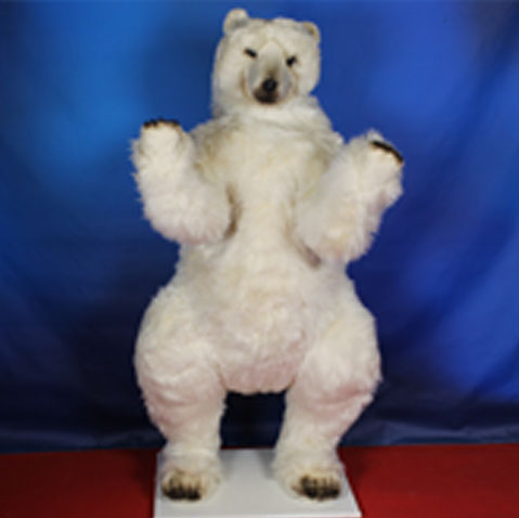 OursPolaire debout 160 cm